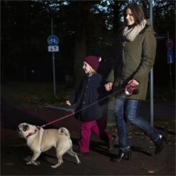 Flexi Led Lighting System Vario - Zwart - S/M/L -Exporteren Alles Voor Honden Winkel 1200x1200 357