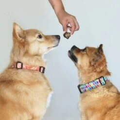 Topdiervoeding Runderlong Trainers Hondensnacks - Gedroogd En Vetarm - 1 KG 10 Topdiervoeding Runderlong Trainers Hondensnacks - Gedroogd En Vetarm - 1 KG -Exporteren Alles Voor Honden Winkel 1200x1200 36