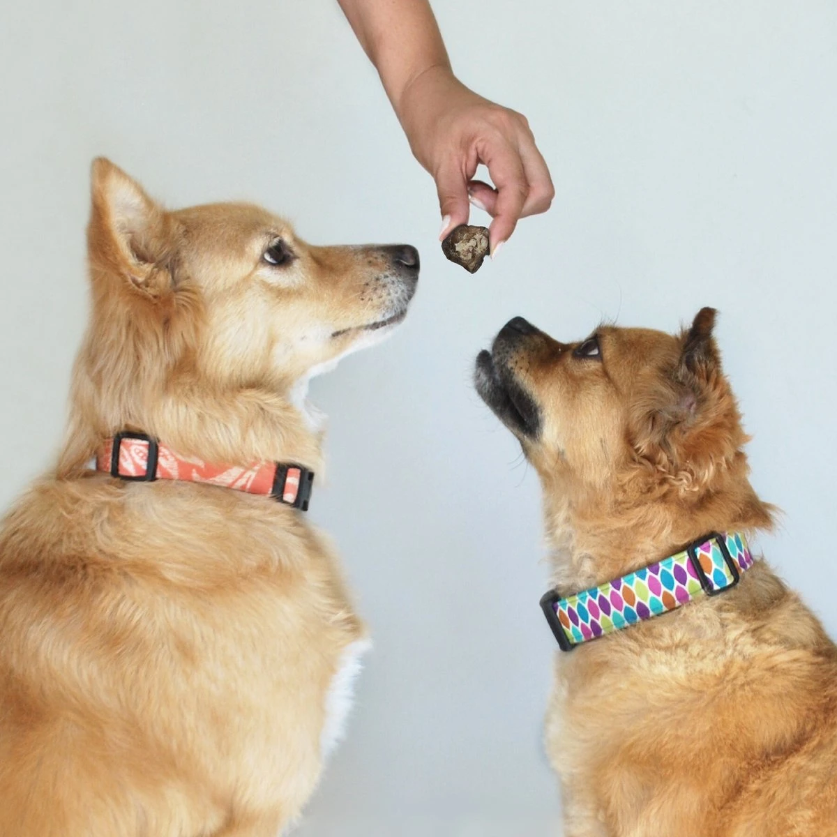 Topdiervoeding Runderlong Trainers Hondensnacks - Gedroogd En Vetarm - 1 KG 6 Topdiervoeding Runderlong Trainers Hondensnacks - Gedroogd En Vetarm - 1 KG - Afbeelding 4