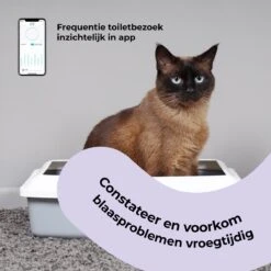 Pettadore Air Insight - Kattenbak Geurverdrijver & Teller - Actieve Zuurstof En Ionen - Oplaadbaar - Met App 20 Pettadore Air Insight - Kattenbak Geurverdrijver & Teller - Actieve Zuurstof En Ionen - Oplaadbaar - Met App -Exporteren Alles Voor Honden Winkel 1200x1200 362