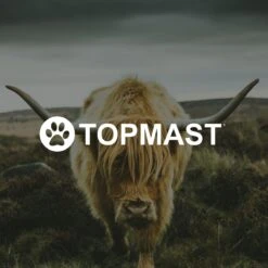 Yak Kaas Hondensnacks - 8 Stuks - 100% Natuurlijk - XS - 20-40 Gram - Kauwstaaf - Kauwbot - Voor De Hond 13 Yak Kaas Hondensnacks - 8 Stuks - 100% Natuurlijk - XS - 20-40 Gram - Kauwstaaf - Kauwbot - Voor De Hond -Exporteren Alles Voor Honden Winkel 1200x1200 37