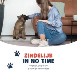 JC Pets Premium Puppy Training Pads - Hondentoilet - Zindelijkheidstraining Hond - 50 Stuks - 60 X 45 Cm -Exporteren Alles Voor Honden Winkel 1200x1200 376