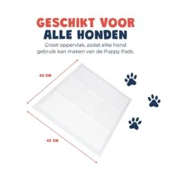 JC Pets Premium Puppy Training Pads - Hondentoilet - Zindelijkheidstraining Hond - 50 Stuks - 60 X 45 Cm -Exporteren Alles Voor Honden Winkel 1200x1200 377