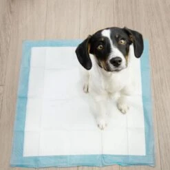 Springos Puppy Training Pads| Plasmatjes Hond | Zindelijkheidstraining | 10 Stuks | 35 X 45 Cm -Exporteren Alles Voor Honden Winkel 1200x1200 380