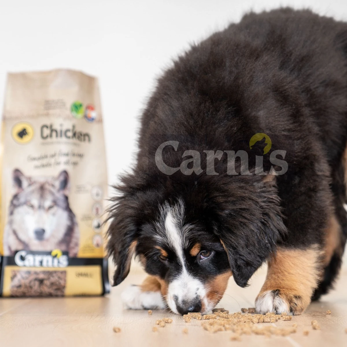 Carnis Chicken Small Geperst Hondenvoer 12,5 Kg - Hond 4 Carnis Chicken Small Geperst Hondenvoer 12,5 Kg - Hond - Afbeelding 2