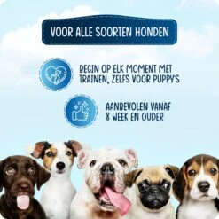 VEDIC® - Luxe Clicker Met Fluit - Clickertraining - Rood - Bevestigingsring - Fluit - Hondentraining -Exporteren Alles Voor Honden Winkel 1200x1200 396