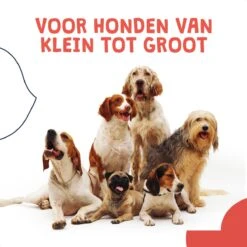 JC Pets Ultrasone Anti Blaf Apparaat Voor Kleine En Grote Honden - Oplaadbaar - Alternatief Anti Blafband Voor Honden - Diervriendelijk & Zonder Schok -Exporteren Alles Voor Honden Winkel 1200x1200 403