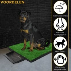 Toivo HondenToilet Kunstgras - Zwart - Geurafstotend - 62 X 49 X 6.6 CM - Honden Wc Outdoor - Zindelijkheidstraining Hond - Puppy Pads - Dierentoilet -Exporteren Alles Voor Honden Winkel 1200x1200 412