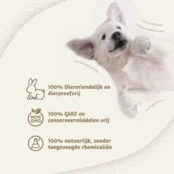 Aerend - Zalmolie Voor Honden En Katten - Zanipro® 500 Ml - 100% Visolie Op Schotse Zalmolie - Glanzende Vacht - Voedingssupplement - Anti-jeuk - Gezonde Bron Van Omega 3, 6 & 9 - Behandeling Voor Fretten En Paarden -Exporteren Alles Voor Honden Winkel 1200x1200 43