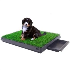 Merkloos Hondentoilet Kunstgras Met Bak - Indoor Dierentoilet - Uitneembare Opvangbak - Puppy Training Pets - Outdoor/Balkon/Tuin/Indoor Toilet - 50x64 Cm -Exporteren Alles Voor Honden Winkel 1200x1200 431