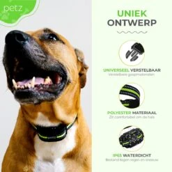 Petz - Anti Blafband - Anti Blafband Voor Kleine En Grote Honden - 5-55 KG - Vibratie En Audio - Diervriendelijk - GEEN Schokken - Opvoedingshalsband Zonder Schok En Diervriendelijk - Waterdicht - Oplaadbaar -Exporteren Alles Voor Honden Winkel 1200x1200 435