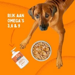 Aerend - Zalmolie Voor Honden En Katten - Zanipro® 500 Ml - 100% Visolie Op Schotse Zalmolie - Glanzende Vacht - Voedingssupplement - Anti-jeuk - Gezonde Bron Van Omega 3, 6 & 9 - Behandeling Voor Fretten En Paarden -Exporteren Alles Voor Honden Winkel 1200x1200 44