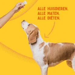 Aerend - Zalmolie Voor Honden En Katten - Zanipro® 500 Ml - 100% Visolie Op Schotse Zalmolie - Glanzende Vacht - Voedingssupplement - Anti-jeuk - Gezonde Bron Van Omega 3, 6 & 9 - Behandeling Voor Fretten En Paarden -Exporteren Alles Voor Honden Winkel 1200x1200 45