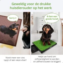 AWEMOZ Hondentoilet Kunstgras - Met 2 Matten En Opvangbak - 64x52x7,5cm - Puppy Pads - Zindelijkheidstraining Hond - Training Pads - Indoor / Outdoor Honden Toilet 15 AWEMOZ Hondentoilet Kunstgras - Met 2 Matten En Opvangbak - 64x52x7,5cm - Puppy Pads - Zindelijkheidstraining Hond - Training Pads - Indoor / Outdoor Honden Toilet -Exporteren Alles Voor Honden Winkel 1200x1200 452