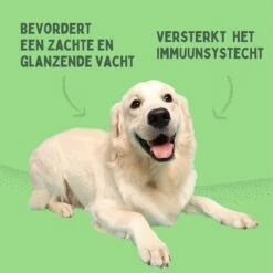 Aerend - Zalmolie Voor Honden En Katten - Zanipro® 500 Ml - 100% Visolie Op Schotse Zalmolie - Glanzende Vacht - Voedingssupplement - Anti-jeuk - Gezonde Bron Van Omega 3, 6 & 9 - Behandeling Voor Fretten En Paarden -Exporteren Alles Voor Honden Winkel 1200x1200 46