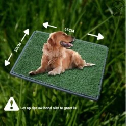 Merkloos Gtrise Hondentoilet Met 2 Matten - Out/Indoor - Zindelijkheidstraining Ebook - Dieren Wc 17 Merkloos Gtrise Hondentoilet Met 2 Matten - Out/Indoor - Zindelijkheidstraining Ebook - Dieren Wc -Exporteren Alles Voor Honden Winkel 1200x1200 460