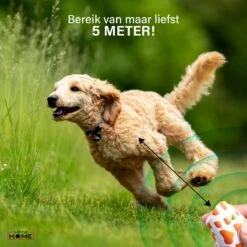 Merkloos LotaHome - Anti Blaf Apparaat - Hondentrainer Voor Binnen En Buiten - Bereik Tot 15 Meter - Diervriendelijk - Zonder Schok - Ultrasone - Voor Alle Honden - Inclusief Clicker -Exporteren Alles Voor Honden Winkel 1200x1200 464