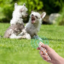 Merkloos LotaHome - Anti Blaf Apparaat - Hondentrainer Voor Binnen En Buiten - Bereik Tot 15 Meter - Diervriendelijk - Zonder Schok - Ultrasone - Voor Alle Honden - Inclusief Clicker -Exporteren Alles Voor Honden Winkel 1200x1200 465