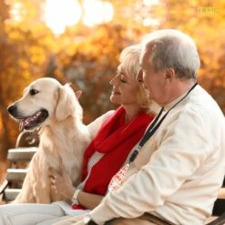 Merkloos LotaHome - Anti Blaf Apparaat - Hondentrainer Voor Binnen En Buiten - Bereik Tot 15 Meter - Diervriendelijk - Zonder Schok - Ultrasone - Voor Alle Honden - Inclusief Clicker -Exporteren Alles Voor Honden Winkel 1200x1200 466