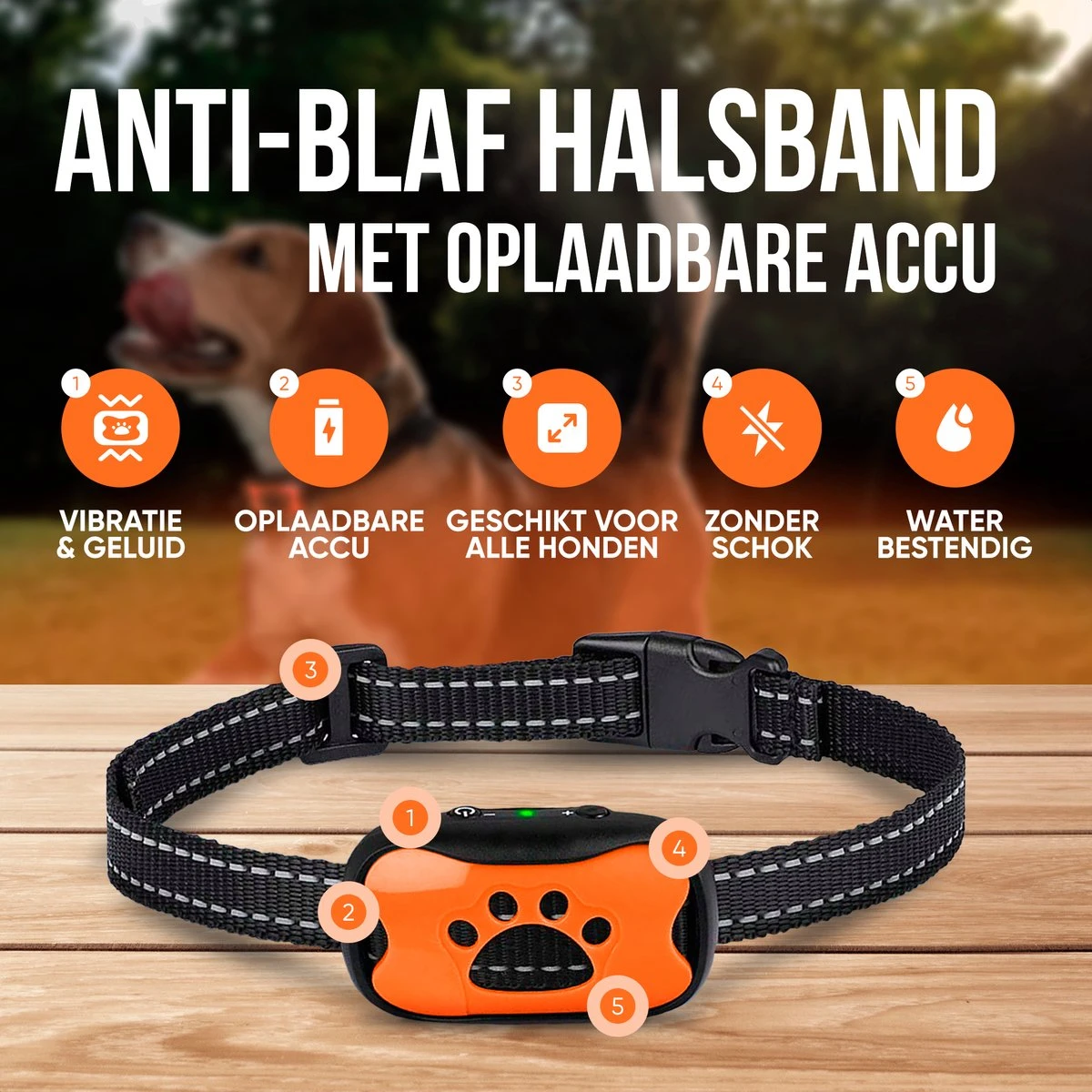 Strex Anti Blafband Voor Honden - 3-60KG - Oplaadbaar - Zonder Schok - Vibratie En Audio - Diervriendelijk - Anti Blaf Band - Anti Blaf Apparaat - Opvoedingshalsband Alle Honden 4 Strex Anti Blafband Voor Honden - 3-60KG - Oplaadbaar - Zonder Schok - Vibratie En Audio - Diervriendelijk - Anti Blaf Band - Anti Blaf Apparaat - Opvoedingshalsband Alle Honden - Afbeelding 2