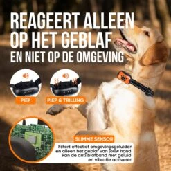 Strex Anti Blafband Voor Honden - 3-60KG - Oplaadbaar - Zonder Schok - Vibratie En Audio - Diervriendelijk - Anti Blaf Band - Anti Blaf Apparaat - Opvoedingshalsband Alle Honden 13 Strex Anti Blafband Voor Honden - 3-60KG - Oplaadbaar - Zonder Schok - Vibratie En Audio - Diervriendelijk - Anti Blaf Band - Anti Blaf Apparaat - Opvoedingshalsband Alle Honden -Exporteren Alles Voor Honden Winkel 1200x1200 475