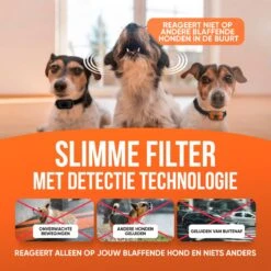 Strex Anti Blafband Voor Honden - 3-60KG - Oplaadbaar - Zonder Schok - Vibratie En Audio - Diervriendelijk - Anti Blaf Band - Anti Blaf Apparaat - Opvoedingshalsband Alle Honden 16 Strex Anti Blafband Voor Honden - 3-60KG - Oplaadbaar - Zonder Schok - Vibratie En Audio - Diervriendelijk - Anti Blaf Band - Anti Blaf Apparaat - Opvoedingshalsband Alle Honden -Exporteren Alles Voor Honden Winkel 1200x1200 478