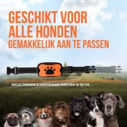 Strex Anti Blafband Voor Honden - 3-60KG - Oplaadbaar - Zonder Schok - Vibratie En Audio - Diervriendelijk - Anti Blaf Band - Anti Blaf Apparaat - Opvoedingshalsband Alle Honden 17 Strex Anti Blafband Voor Honden - 3-60KG - Oplaadbaar - Zonder Schok - Vibratie En Audio - Diervriendelijk - Anti Blaf Band - Anti Blaf Apparaat - Opvoedingshalsband Alle Honden -Exporteren Alles Voor Honden Winkel 1200x1200 479