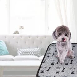 Jooba Puppy Training Pads - Wasbare Puppy Pads 2 Stuks - Hondentoilet - 70x50cm - Puppy -Exporteren Alles Voor Honden Winkel 1200x1200 485