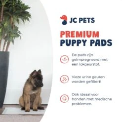 JC Pets Premium Puppy Training Pads - Hondentoilet - Zindelijkheidstraining Hond - 100 Stuks - 60 X 45 Cm -Exporteren Alles Voor Honden Winkel 1200x1200 497