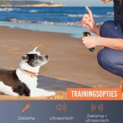 PetsBest AntiBlaf Apparaat - Diervriendelijk & Zonder Schok - Usb Oplaadbaar -Exporteren Alles Voor Honden Winkel 1200x1200 517