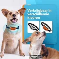 PET DOG® | Anti Blafband Voor Honden | 3 T/m 60 Kg | Oplaadbaar | Anti Blaf Band | Trainingsband | Vibratie En Geluid | Diervriendelijk | Shock Aan/uit Instelbaar 14 PET DOG® | Anti Blafband Voor Honden | 3 T/m 60 Kg | Oplaadbaar | Anti Blaf Band | Trainingsband | Vibratie En Geluid | Diervriendelijk | Shock Aan/uit Instelbaar -Exporteren Alles Voor Honden Winkel 1200x1200 523