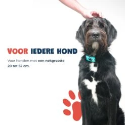 Anti Blafband - Blafband Voor Honden - Anti Blaf Apparaat - Blafband - Diervriendelijk & Zonder Schok 18 Anti Blafband - Blafband Voor Honden - Anti Blaf Apparaat - Blafband - Diervriendelijk & Zonder Schok -Exporteren Alles Voor Honden Winkel 1200x1200 530