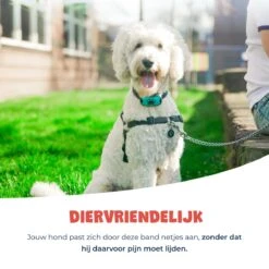 Anti Blafband - Blafband Voor Honden - Anti Blaf Apparaat - Blafband - Diervriendelijk & Zonder Schok 19 Anti Blafband - Blafband Voor Honden - Anti Blaf Apparaat - Blafband - Diervriendelijk & Zonder Schok -Exporteren Alles Voor Honden Winkel 1200x1200 531