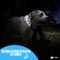 Fideli Anti Blafband - Zonder Schok - Grote En Kleine Honden - Oplaadbaar - LED Verlichte Band -Exporteren Alles Voor Honden Winkel 1200x1200 541
