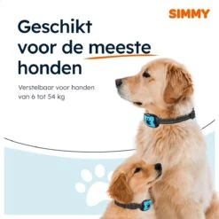 Simmy Anti Blafband - Diervriendelijke Opvoedingshalsband - Zwart En Blauw - Diervriendelijk - Zonder Schok - Anti Blaf Band Voor Grote En Kleine Honden -Exporteren Alles Voor Honden Winkel 1200x1200 548