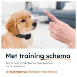 Simmy Anti Blafband - Diervriendelijke Opvoedingshalsband - Zwart En Blauw - Diervriendelijk - Zonder Schok - Anti Blaf Band Voor Grote En Kleine Honden -Exporteren Alles Voor Honden Winkel 1200x1200 549
