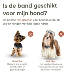 Premium Anti Blafband Apparaat Om Je Hond Snel En Effectief Te Laten Stoppen Met Blaffen - Diervriendelijke Opvoedingshalsband Zonder Schok - Trainingshalsband Voor Grote En Kleine Honden - Anti Blaf Apparaat - Correctie Halsband -Exporteren Alles Voor Honden Winkel 1200x1200 564