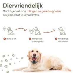 Premium Anti Blafband Apparaat Om Je Hond Snel En Effectief Te Laten Stoppen Met Blaffen - Diervriendelijke Opvoedingshalsband Zonder Schok - Trainingshalsband Voor Grote En Kleine Honden - Anti Blaf Apparaat - Correctie Halsband -Exporteren Alles Voor Honden Winkel 1200x1200 565