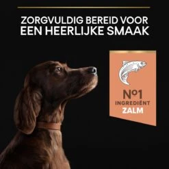 Pro Plan Large Atlethic Adult Sensitive Skin - Honden Droogvoer - Zalm - 14 Kg -Exporteren Alles Voor Honden Winkel 1200x1200 58
