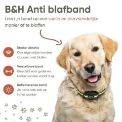Premium Anti Blafband - Diervriendelijke Opvoedingshalsband Zonder Schok - Trainingshalsband Voor Grote En Kleine Honden - Anti Blaf Band - Correctie Halsband 18 Premium Anti Blafband - Diervriendelijke Opvoedingshalsband Zonder Schok - Trainingshalsband Voor Grote En Kleine Honden - Anti Blaf Band - Correctie Halsband -Exporteren Alles Voor Honden Winkel 1200x1200 597