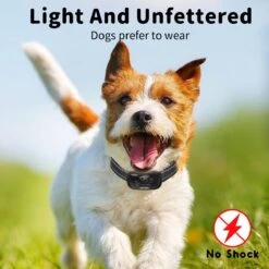 NIIYEBU Anti Blafband - Blafbanden Voor Honden - Anti Blaf Apparaat - Diervriendelijk - Zonder Schok - Vibratie En Audio -Exporteren Alles Voor Honden Winkel 1200x1200 606