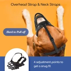 Nobleza Muilkorf Hond - Snuitomtrek 33 - Maat L - Zwart 12 Nobleza Muilkorf Hond - Snuitomtrek 33 - Maat L - Zwart -Exporteren Alles Voor Honden Winkel 1200x1200 627