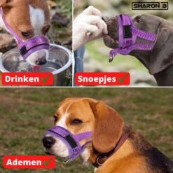 Sharon B Muilkorf Paars Maat M - Fleece - Wasbaar - Reflecterend 13 Sharon B Muilkorf Paars Maat M - Fleece - Wasbaar - Reflecterend -Exporteren Alles Voor Honden Winkel 1200x1200 629