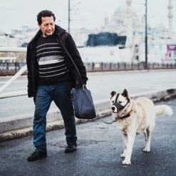 Merkloos Hoog Kwaliteit Muilkorf Met Bedrukt Patroon - Muilkorf Hond - Hondensnuit - Anti Blaf En Bijt - Voor Kleine En Grote Honden Maat M Zwart Reflecterend -Exporteren Alles Voor Honden Winkel 1200x1200 631