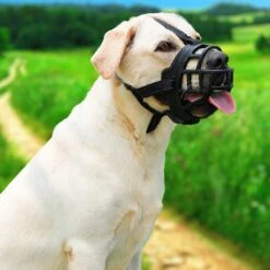 Sharon B Muilkorf Hond - Zwart - XXL - Voor Zeer Grote Honden - Snuitomtrek 38-43 Cm -Exporteren Alles Voor Honden Winkel 1200x1200 638