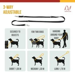 Happilax Dog Leash 2m Adjustable - Black/Reflective - 3-Step Adjustable Leash - Double Leash, Tug Leash - Geschikt Als Hondenriem Voor Grote Honden Of Als Sleepriem Voor Kleine Honden. -Exporteren Alles Voor Honden Winkel 1200x1200 656