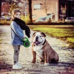 IGOODS - Hondenriem - Katten Riem - Uitlaatriem Voor Honden En Katten - Honden Riem- Rollijn - 5 Meter Lang 17 IGOODS - Hondenriem - Katten Riem - Uitlaatriem Voor Honden En Katten - Honden Riem- Rollijn - 5 Meter Lang -Exporteren Alles Voor Honden Winkel 1200x1200 681