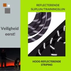 1FORME Hondenriem 15-25kg - Sliplijn Hond REFLECTEREND 2m, 1cm Ø - Jachtlijn 2 Ergonomische Handvaten - Dubbel Stop -Exporteren Alles Voor Honden Winkel 1200x1200 692