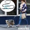 Merkloos Allernieuwste® Elastische Hondenriem 2-in-1 HANDSFREE Voor Hardlopen Shoppen En Wandelen - Honden Riem 160/260 Cm - Blauw Zwart 1 Merkloos Allernieuwste® Elastische Hondenriem 2-in-1 HANDSFREE Voor Hardlopen Shoppen En Wandelen - Honden Riem 160/260 Cm - Blauw Zwart -Exporteren Alles Voor Honden Winkel 1200x1200 708