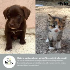 Filo Elastische Hondenriem Groot - Hardlopen En Wandelen - Hardloopriem Hond Handsfree Met Heuptasje - Looplijn Met Heupriem - Canicross Gordel Honden - Riemen - Heupgordel - Leiband 19 Filo Elastische Hondenriem Groot - Hardlopen En Wandelen - Hardloopriem Hond Handsfree Met Heuptasje - Looplijn Met Heupriem - Canicross Gordel Honden - Riemen - Heupgordel - Leiband -Exporteren Alles Voor Honden Winkel 1200x1200 713